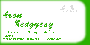 aron medgyesy business card